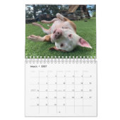 Calendrier BADRAP Secourt Barn 2021 (Mar 2027)