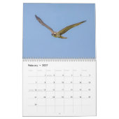 Calendrier Balbuzard 2026 (Feb 2027)