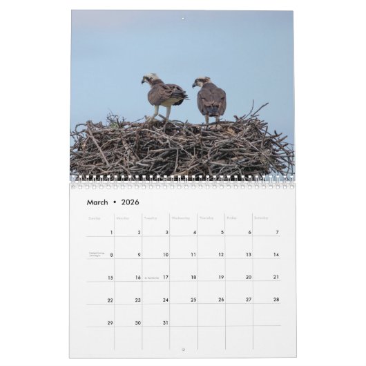 Calendrier Balbuzard pêcheur 2026 (Mar 2026)