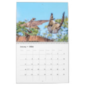 Calendrier Balbuzard pêcheur 2026 (Jan 2026)