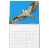 Calendrier Balbuzard pêcheur 2026 (Mar 2027)