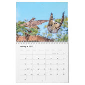 Calendrier Balbuzard pêcheur 2026 (Jan 2027)