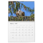 Calendrier Balbuzard pêcheur 2026 (Feb 2027)