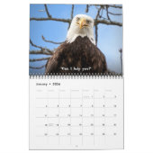 Calendrier Bald Eagle Funny Fowls Bird Photography 2025 (Jan 2026)