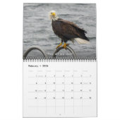 Calendrier Bald Eagle Funny Fowls Bird Photography 2025 (Feb 2026)