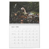 Calendrier Bald Eagles $ (Mar 2026)