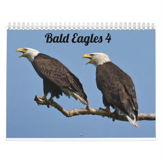 Calendrier Bald Eagles $ (Protection)