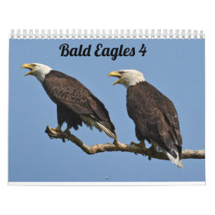 Calendrier Bald Eagles $