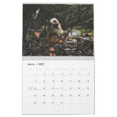 Calendrier Bald Eagles $ (Mar 2027)