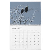 Calendrier Bald Eagles $ (Jan 2027)