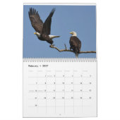 Calendrier Bald Eagles $ (Feb 2027)