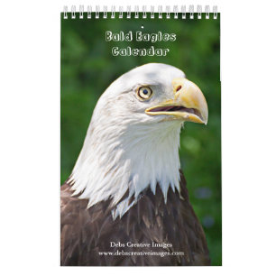 Calendrier Bald Eagles 2025