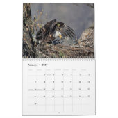 Calendrier Bald Eagles 2026 (Feb 2027)