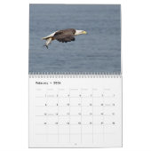 Calendrier Bald Eagles 2026 (Feb 2026)