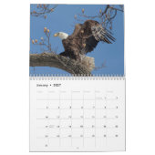 Calendrier Bald Eagles 2026 (Jan 2027)