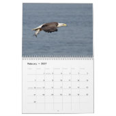 Calendrier Bald Eagles 2026 (Feb 2027)