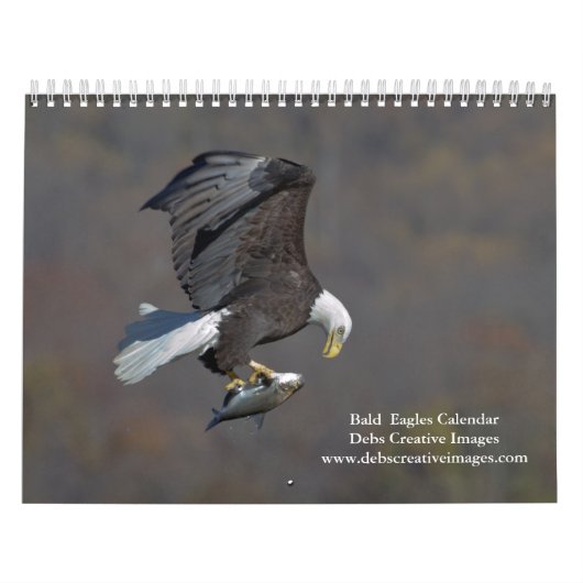 Calendrier Bald Eagles 2026 (Protection)