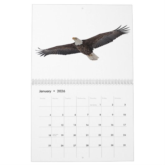 Calendrier Bald Eagles 2026 (Jan 2026)