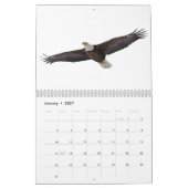 Calendrier Bald Eagles 2026 (Jan 2027)