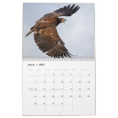 Calendrier Bald Eagles 2026 (Mar 2027)