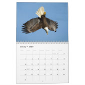 Calendrier Bald Eagles 2026 (Jan 2027)