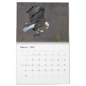 Calendrier Bald Eagles 2026 (Feb 2027)