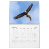 Calendrier Bald Eagles, American Symbol Calendar (Feb 2026)