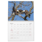 Calendrier Bald Eagles, American Symbol Calendar (Mar 2026)