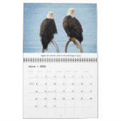 Calendrier Bald Eagles Photographie de la faune (Mar 2026)