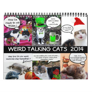CALENDRIER BANDE-BANDE AMUSANTE DE CATS DE DISCUSSION WEIRD 2
