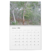 Calendrier - Banques externes - Buxton NC (Jan 2026)