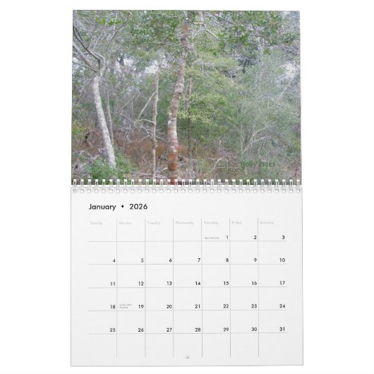 Calendrier - Banques externes - Buxton NC (Jan 2026)