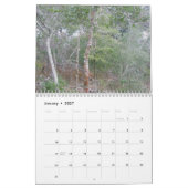 Calendrier - Banques externes - Buxton NC (Jan 2027)