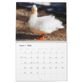 Calendrier Barnyard Buddies (Mar 2026)