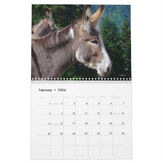 Calendrier Barnyard Buddies (Feb 2026)