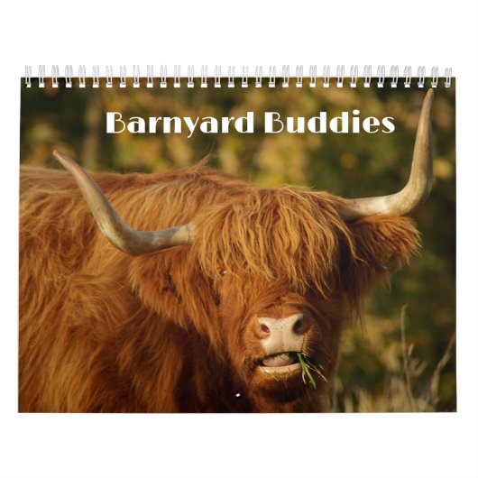 Calendrier Barnyard Buddies (Protection)