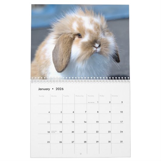 Calendrier Barnyard Buddies (Jan 2026)