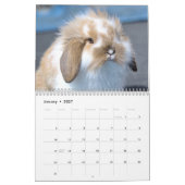 Calendrier Barnyard Buddies (Jan 2027)