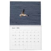 Calendrier Barrage Conowingo 2026 (Mar 2026)