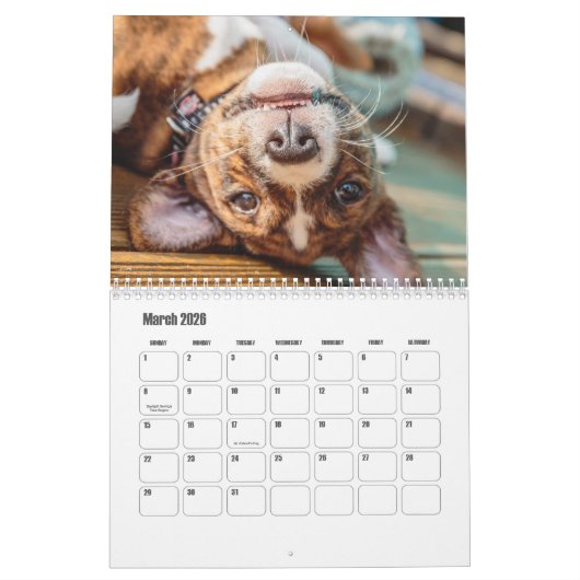 Calendrier Basenji (Mar 2026)