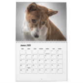 Calendrier Basenji (Jan 2026)