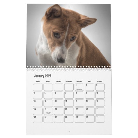 Calendrier Basenji (Jan 2026)