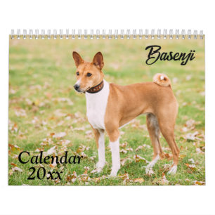 Calendrier Basenji 2025