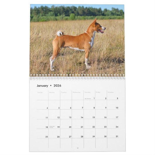 Calendrier Basenji 2026 (Jan 2026)