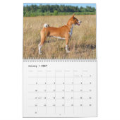 Calendrier Basenji 2026 (Jan 2027)