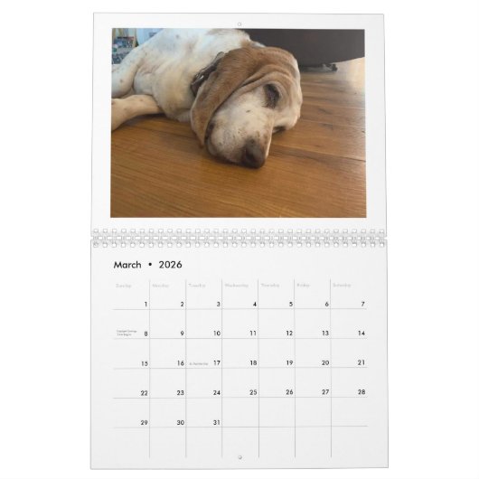 Calendrier Basset Hound (Mar 2026)