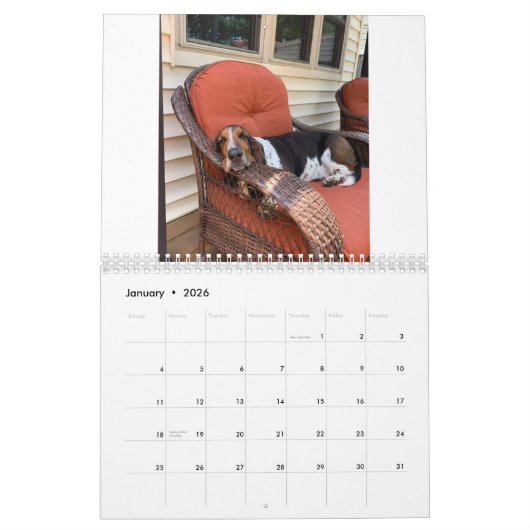 Calendrier Basset Hound (Jan 2026)