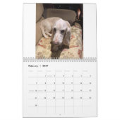 Calendrier Basset Hound (Feb 2027)