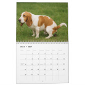 Calendrier Basset Hound Calendar 2026 (Mar 2027)