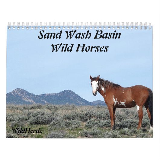 Calendrier Bassin de lavage de sable Chevaux sauvages (Protection)